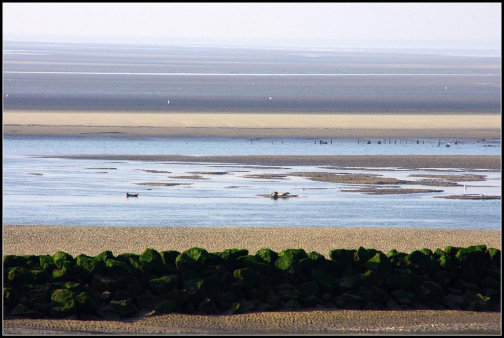 Logis Hotel & Restaurant "Au Gre Du Vent" Berck Bagian luar foto